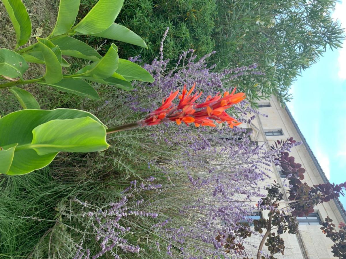 Domaine Terroceane Hotel La-Gripperie-Saint-Symphorien Bagian luar foto