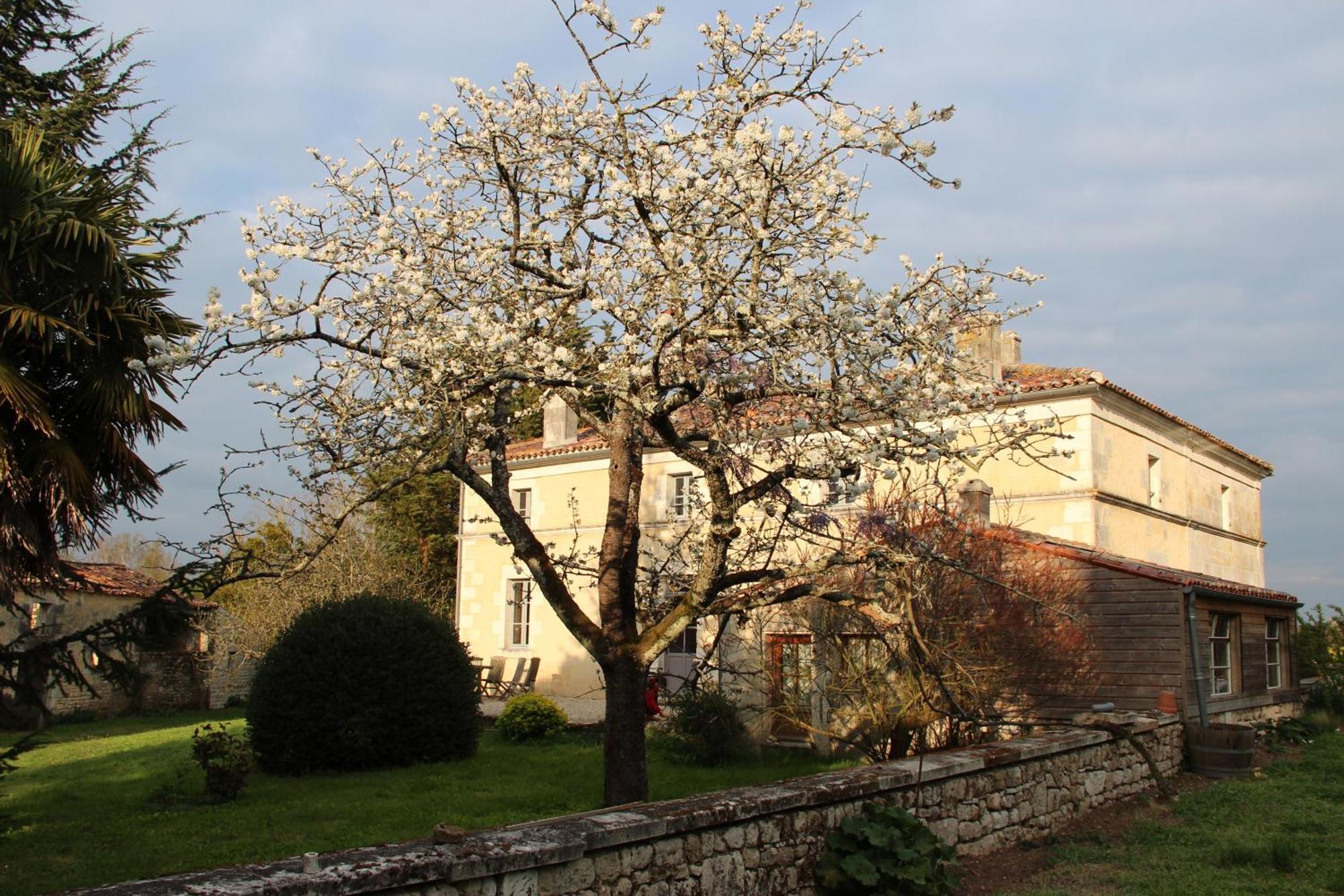 Domaine Terroceane Hotel La-Gripperie-Saint-Symphorien Bagian luar foto