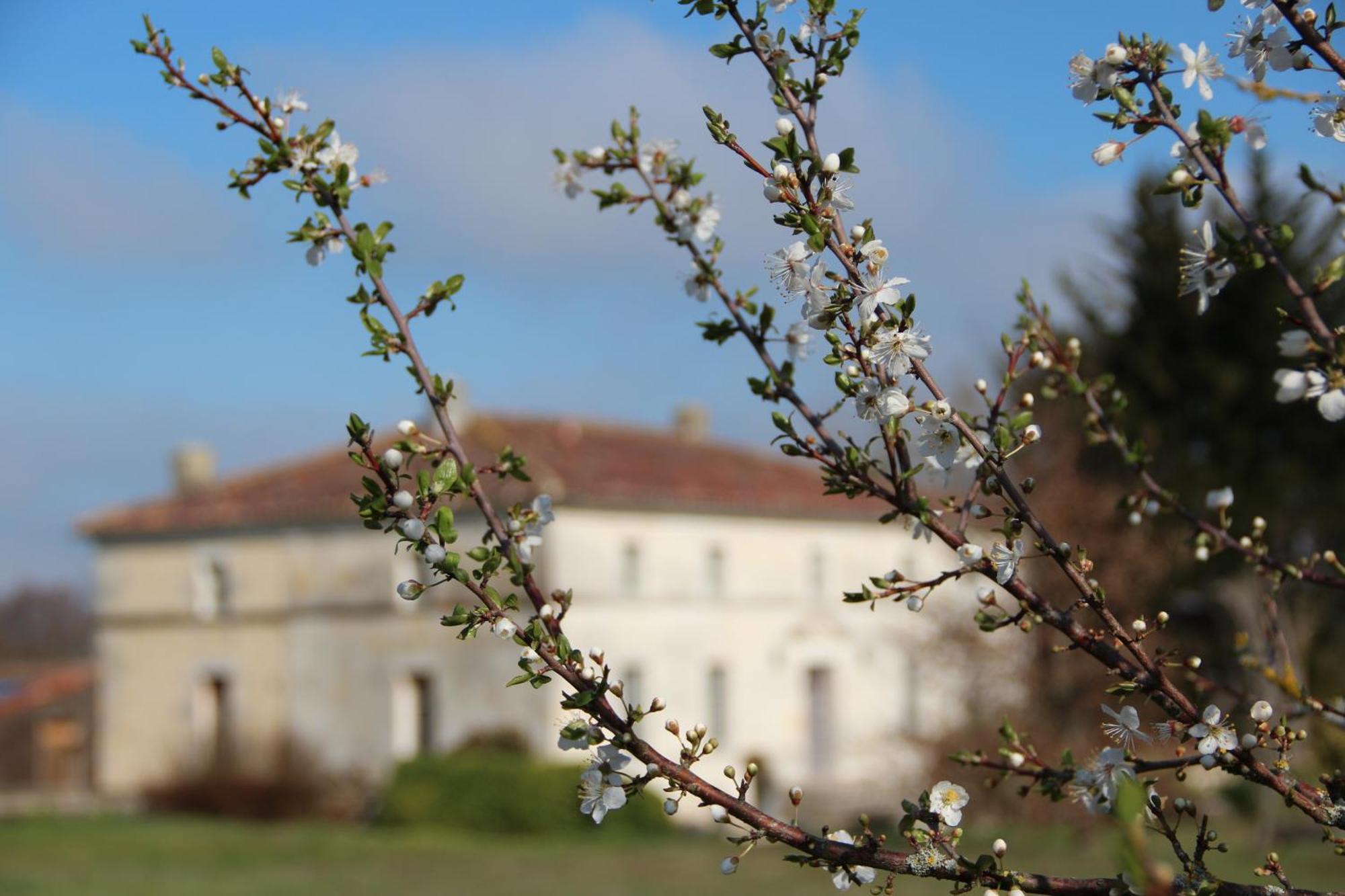 Domaine Terroceane Hotel La-Gripperie-Saint-Symphorien Bagian luar foto